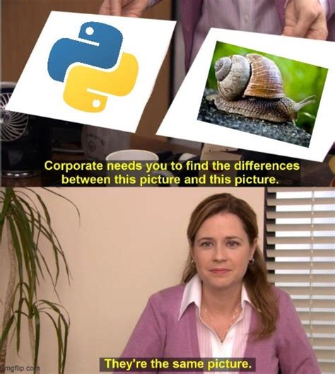 Why Python is slow but popular?
